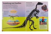 Verrückte Dinos - Abbildung 1