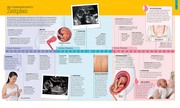 Schwangerschaft & Geburt - Abbildung 3