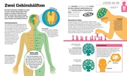 Der menschliche Körper und wie er funktioniert - Abbildung 5