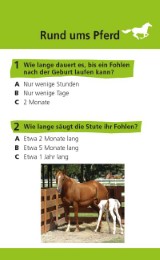 memo Quiz: Pferde - Illustrationen 1