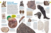 Fossilien - Abbildung 2