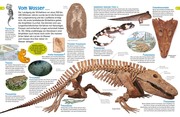 Fossilien - Abbildung 6