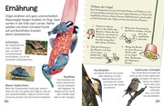 Vögel - Abbildung 4
