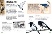 Vögel - Abbildung 5