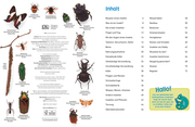Insekten - Abbildung 1