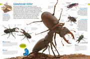 Insekten - Abbildung 3