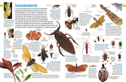 Insekten - Abbildung 8