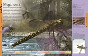 Dinosaurier und andere Tiere der Urzeit für clevere Kids - Abbildung 3