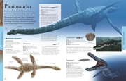 Dinosaurier und andere Tiere der Urzeit für clevere Kids - Abbildung 4