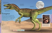 Dinosaurier und andere Tiere der Urzeit für clevere Kids - Abbildung 5