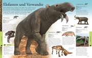 Dinosaurier und andere Tiere der Urzeit für clevere Kids - Abbildung 8