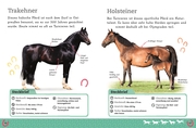 Pferde und Ponys - Abbildung 7