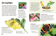 Schmetterlinge - Abbildung 7
