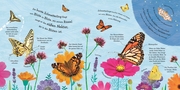 Wie wird die Raupe zum Schmetterling? - Abbildung 2
