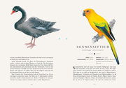 Die 50 schönsten Vögel der Welt - Illustrationen 4