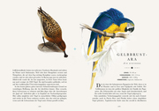 Die 50 schönsten Vögel der Welt - Illustrationen 6