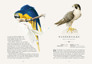 Die 50 schönsten Vögel der Welt - Illustrationen 7