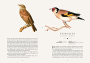 Die 50 schönsten Vögel der Welt - Illustrationen 8