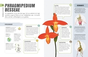 Orchideen-Glück - Abbildung 4