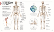 Yoga verstehen - Die Anatomie der Yoga-Haltungen - Illustrationen 3