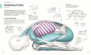 Yoga verstehen - Die Anatomie der Yoga-Haltungen - Illustrationen 5