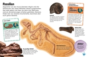 Sticker-Lexikon: Dinosaurier - Abbildung 5