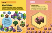 Unabhängig und inoffiziell: Minecraft Earth - Das Gamer-Buch - Abbildung 4