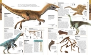 Dinosaurier und andere Lebewesen der Urzeit - Abbildung 5