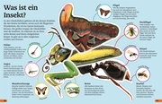 Insekten - Abbildung 3