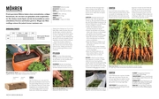 Gemüse anbauen - Abbildung 6