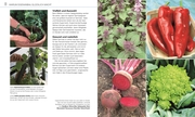 Gemüse für jeden Garten - Abbildung 2
