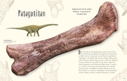 Wundervolle Welt der Dinosaurier und der Urzeit - Abbildung 5