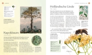 Bäume - Eine Natur- und Kulturgeschichte - Abbildung 7