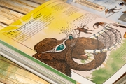 Das Mammut-Buch Mathematik - Abbildung 10