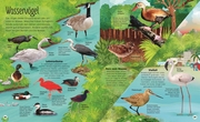 Die schillernde Welt der Vögel - Abbildung 5