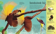 Die schillernde Welt der Vögel - Abbildung 6