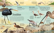 Die schillernde Welt der Vögel - Abbildung 7