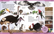 DK Kinderlexikon: Tiere - Abbildung 5