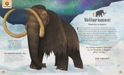 Tiere: 50 Geschichten über Mammut, Panda, Elefant und Co. - Abbildung 2