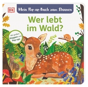 Mein Pop-up-Buch zum Staunen. Wer lebt im Wald? - Cover
