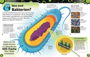 Superstark & Superschlau. Bakterien und Viren - Abbildung 2