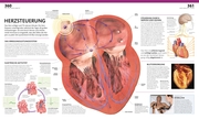 Anatomie und Physiologie - Abbildung 5