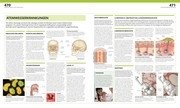 Anatomie und Physiologie - Abbildung 8