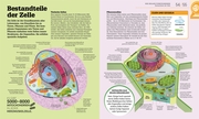 #dkinfografik. Biologie einfach erklärt - Abbildung 4