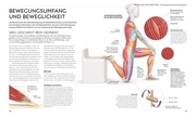 Stretching - Die Anatomie verstehen - Illustrationen 3