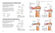 Stretching - Die Anatomie verstehen - Illustrationen 5