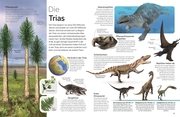 memo Wissen. Dinosaurier - Abbildung 4