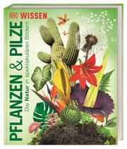 DK Wissen. Pflanzen und Pilze - Cover