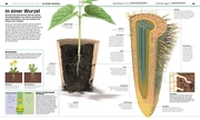 DK Wissen. Pflanzen und Pilze - Abbildung 3