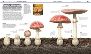DK Wissen. Pflanzen und Pilze - Abbildung 8